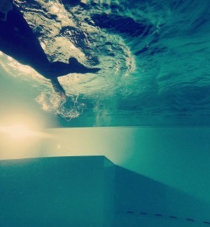 Inside one of our pools. Thanks to 'puur Duiken'