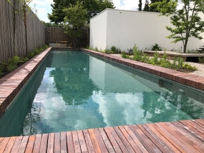Eco-friendly pool with eco-friendly owners